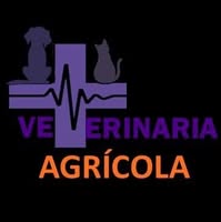 imagen-logo